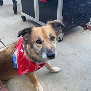 Meet your Posher, Duviana